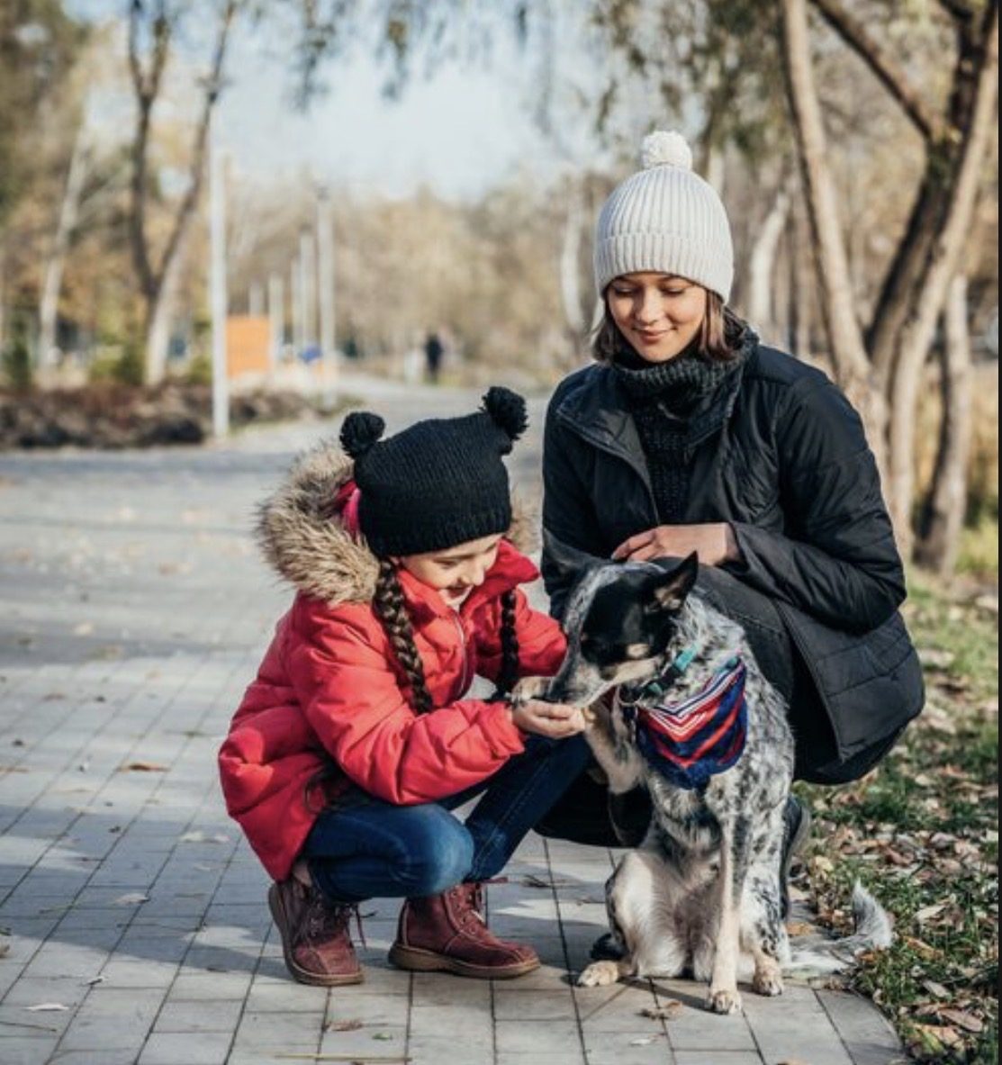 Собаки на улицах: как научить ребенка не бояться и правильно реагировать