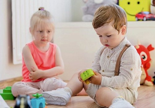 Они подрались из-за игрушки: 3 фразы, которые остановят драку и не примут ничью сторону